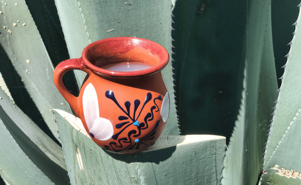 Atole de Miel de Maguey