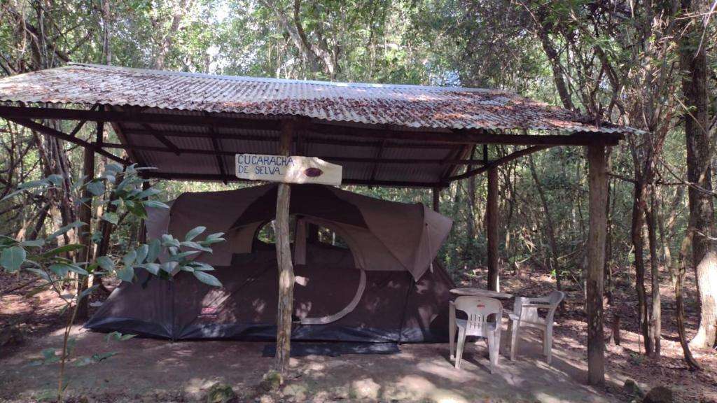Campamento Yaax'che