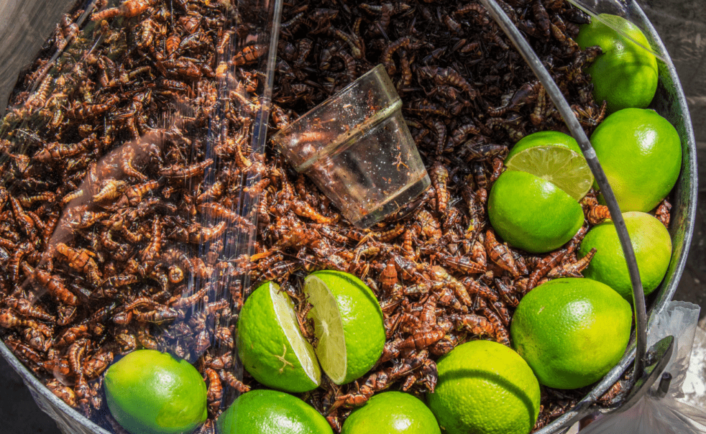 chapulines con limon