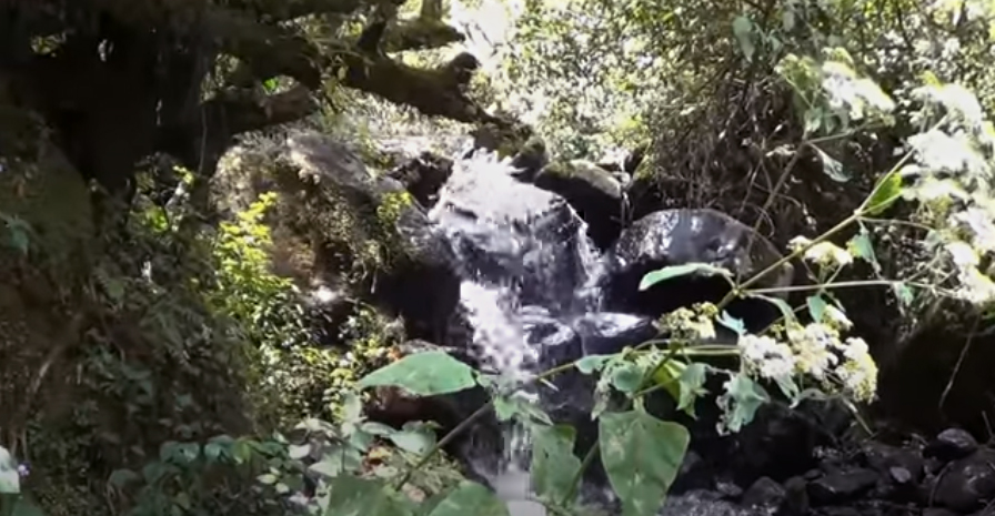 cascada de las trenzas