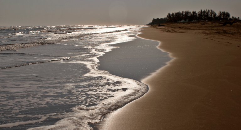 olas del mar sobre la playa con arena café, al fondo se ven árboles