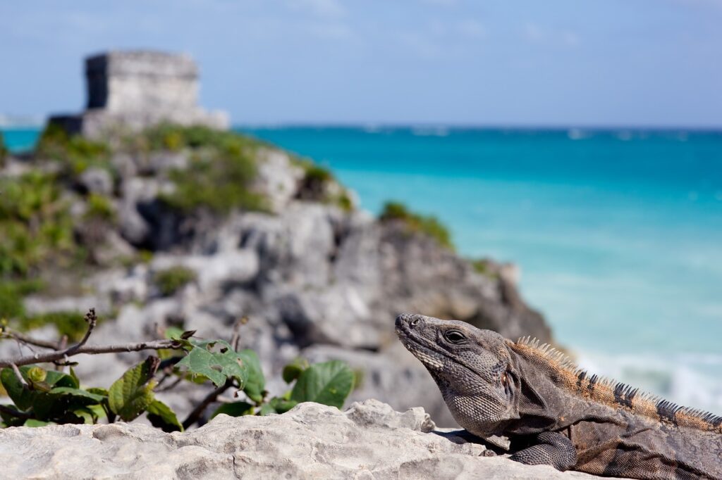 tulum segundo plano