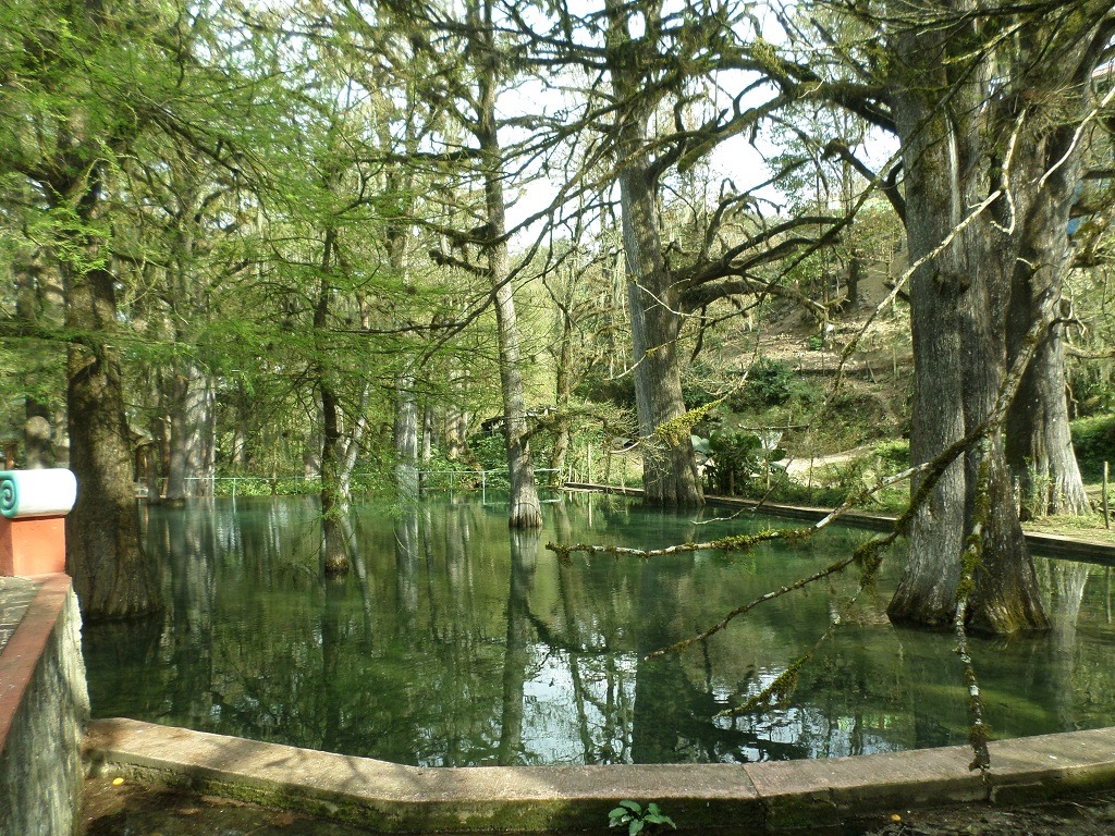 Las Pozas de Río Verdito