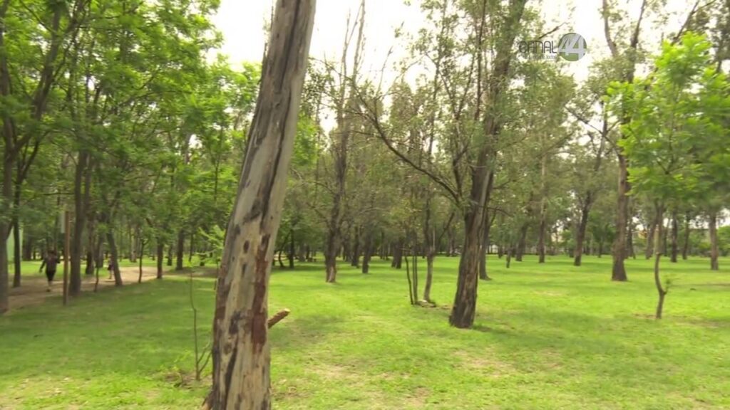 Bosque El Centinela