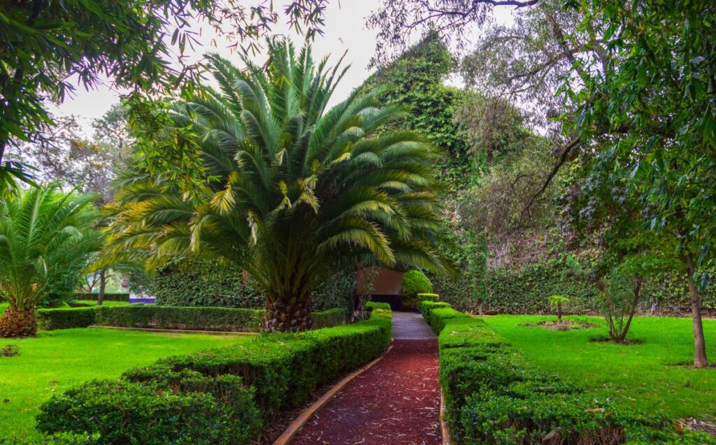 Jardín Botánico de Tizatlán