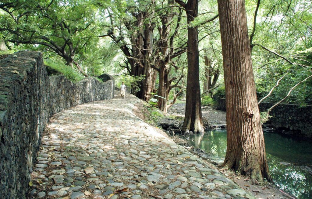 Parque ecológico La Canasta