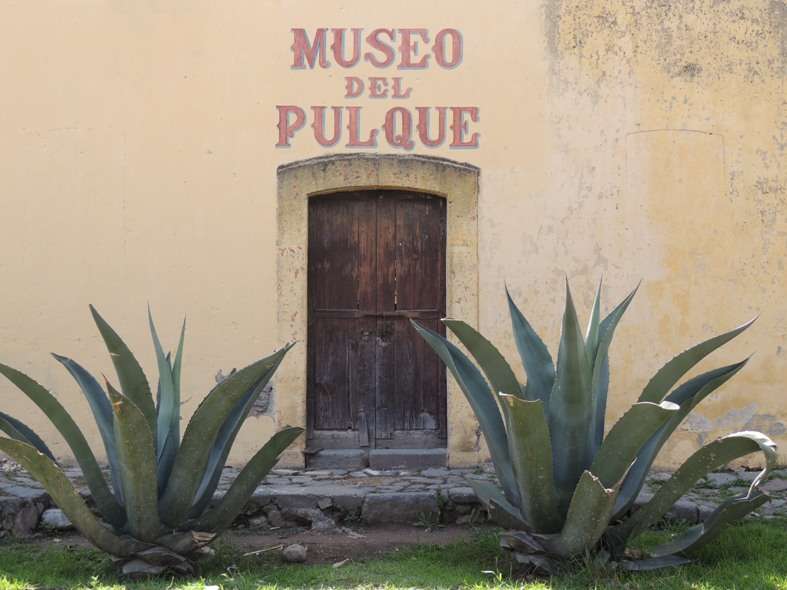 entrada y fachada del museo del pulque decorado con plantas de agave
