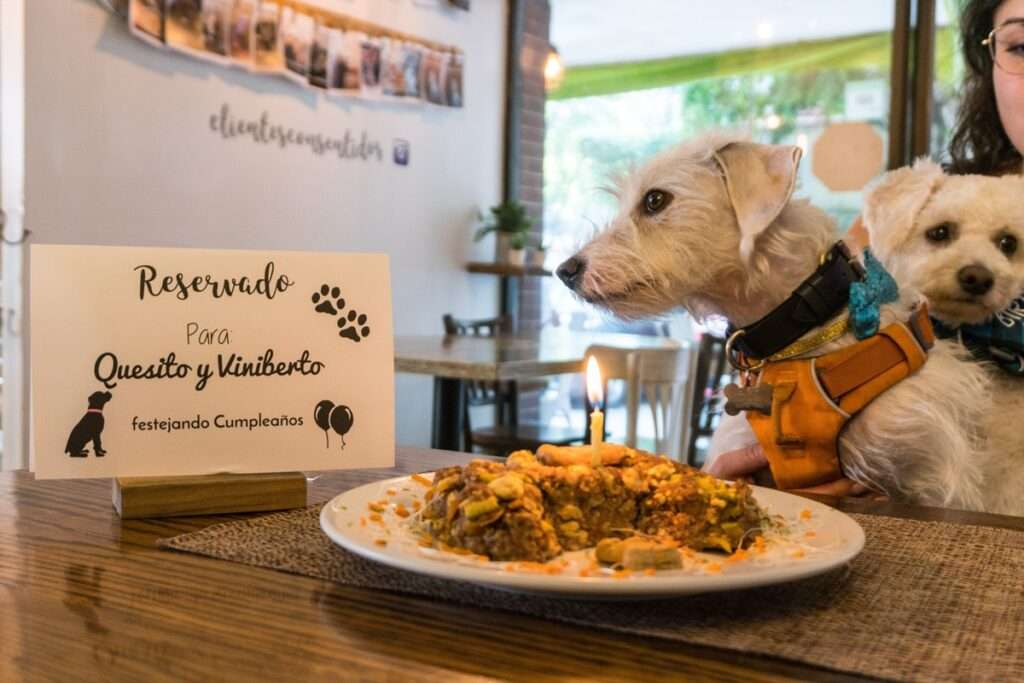 Greenway - Restaurante 100% Pet Friendly