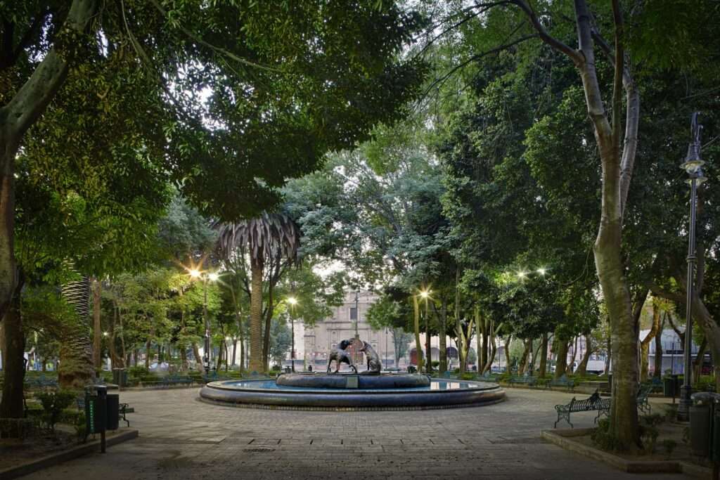 Jardines del Centro de Coyoacán: