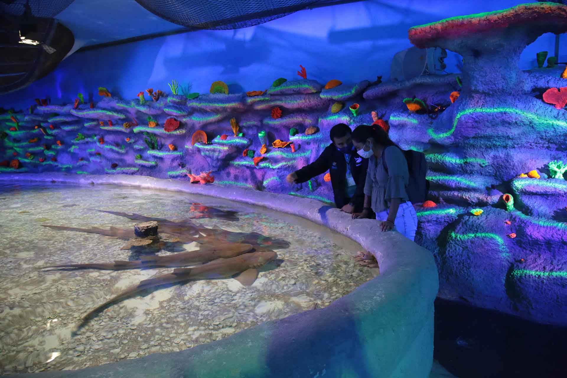 ️ Conoce el Acuario Inbursa ️ Guía 2023 Precios