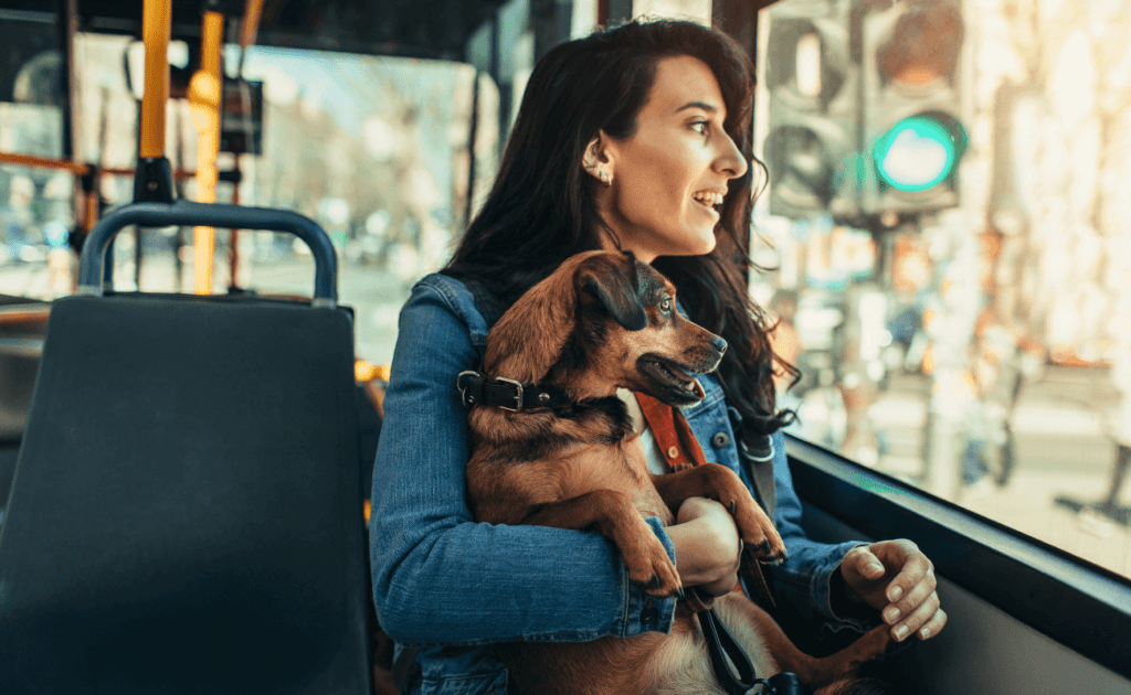 perro con su dueña en autobus